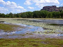 Photo of Anbangbang Billabong