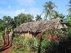 Kùbańskô baracoa