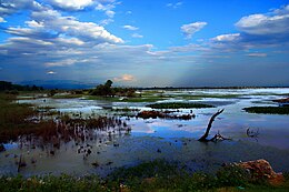 Kerkini – Veduta