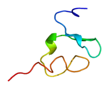 Protein LRP1 PDB 1cr8.png