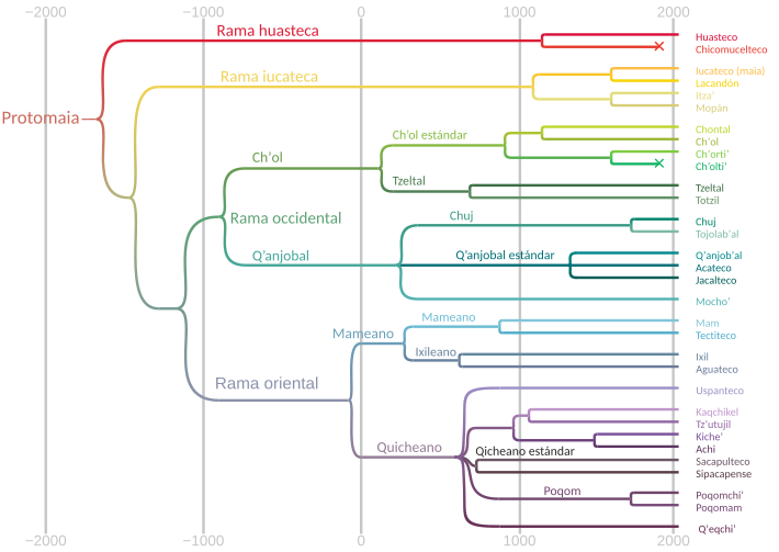 Xenealoxía das linguas maias.