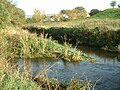 Confluence of River Beal