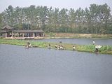 Fishing in a fish pond system at Daye Lake near Daye