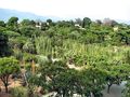 Jardín Etnobotánico circa de la Templo de Santo Domingo de Guzmán in en Oaxaca, MX.