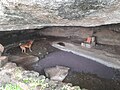 Rock-cut cave