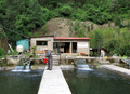 A Zapotec communal fish farm located near Ixtlan de Juárez in Oaxaca, MX.