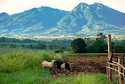 Kitanglad Mountain Range, Bukidnon