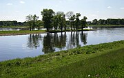 Mündung in die Elbe bei Gnevsdorf