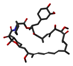 Sirolimuusi