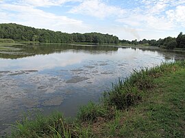 The Grand-Étang near Arbigny