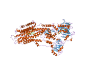 2by4: SR CA(2+)-ATPASE IN THE HNE2 STATE COMPLEXED WITH THE THAPSIGARGIN DERIVATIVE BOC-12ADT.