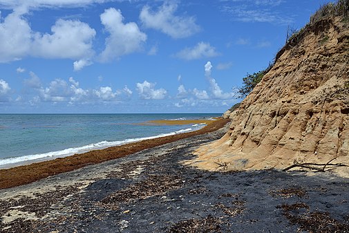 Playa Negra and the ocean