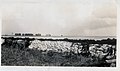 A sandbag and muck dike hold flood water back from the townsite of Canal Point, Florida, during October and November, 1947. The trees in the background are along the border of the USDA sugarcane experiment field.