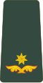 მაიორი Maiori (Georgian Land Forces)[35]