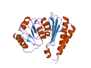 2czk: Crystal structure of human myo-inositol monophosphatase 2 (IMPA2) (trigonal form)