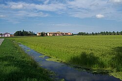 Skyline of Bornasco