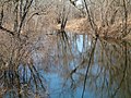 Another flooded trail along the St. Croix.