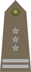 Polen (pułkownik)
