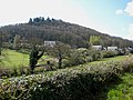 Wooded slopes of Little Doward