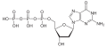 Desoxyguanosin- triphosphat (dGTP)