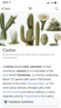 Cactus article with confirmation at bottom "Feedback submitted"