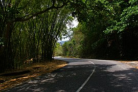 Henri Pittier National Park