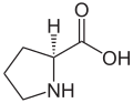 Prolina (Pro / P)