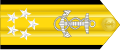 Naramiennik stopnia Fleet Admiral (US Navy).