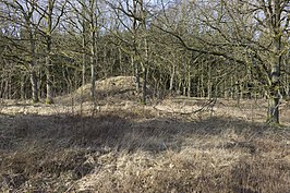 Hoge zandbult bij het voormalige kamp, gelegen langs de Sodemorseweg. In de rand is nog vaag een pad te herkennen dat vanaf de basis naar de top van de bult loopt.