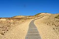 Image 22Sand dunes in the Curonian Spit