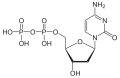 Desoxycytidin- diphosphat (dCDP)