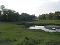 River and green landscape of Janakpur