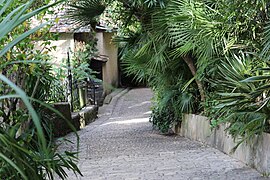 Jardin exotique sur les hauteurs du bourg.