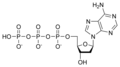 Desoxiadenosina trifosfat dATP