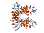 2hyy: Human Abl kinase domain in complex with imatinib (STI571, Glivec)