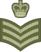 Staff Sergeant