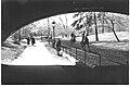 Horseback riding in Central Park, New York City, May, 1940