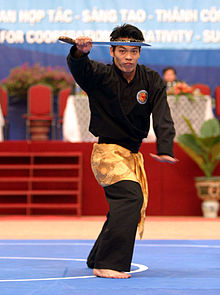 Silat (vietnamese).jpg