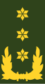 Հոլանդական թագավորական բանակ