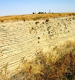 This photo shows a canyon cut into the surrounding flat soil with 32 distinct horizontal layers of soil, each clearly demarked from the layer below. Above the canyon a farm house can be seen in the distance - the farm house provide the perspective that helps the viewer establish that the cut is over 40 deep. The bottom of the cut is filled with tumble weeds.