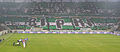 Fans of Karpaty Lviv: "Always Loyal"