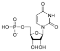 Estructura quimica de l'uridina monofosfat