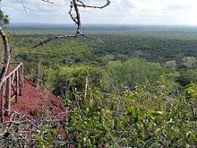 Endless Africa. Arabuko Sokoke Forest - panoramio.jpg