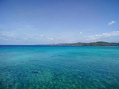 Coral reef at Roatán