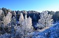 Image 20Winter in the countryside of Lithuania