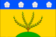 Vlag