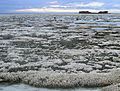 Image 25A major coral bleaching event took place on this part of the Great Barrier Reef (from Environmental threats to the Great Barrier Reef)