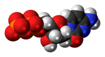 Space-filling model of the deoxycytidine diphosphate molecule as an anion (3- charge)