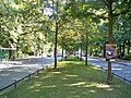 Jasperallee im Stadtpark