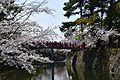 Festival floral d'Okazaki